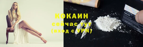 хмурый Алексин