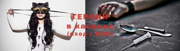 хмурый Алексин