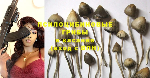 Альфа ПВП Алексеевка