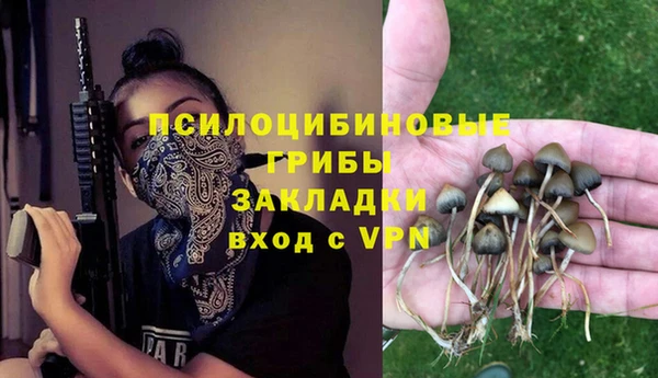 хмурый Алексин
