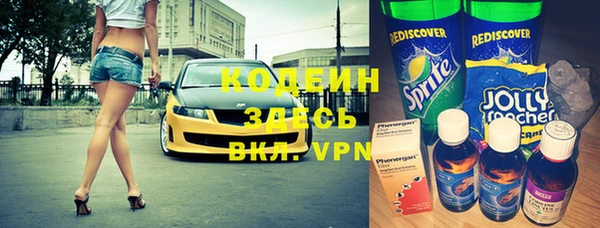 хмурый Алексин