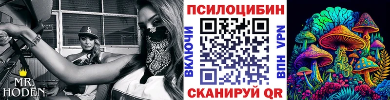 Псилоцибиновые грибы Psilocybe  Тара 