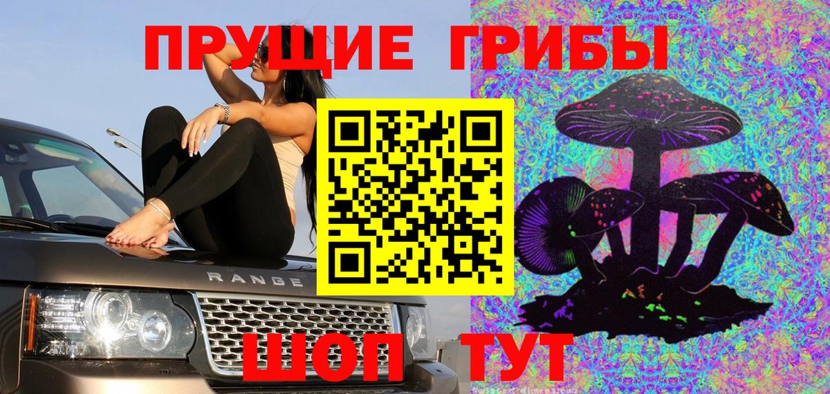 Галлюциногенные грибы Magic Shrooms Тара
