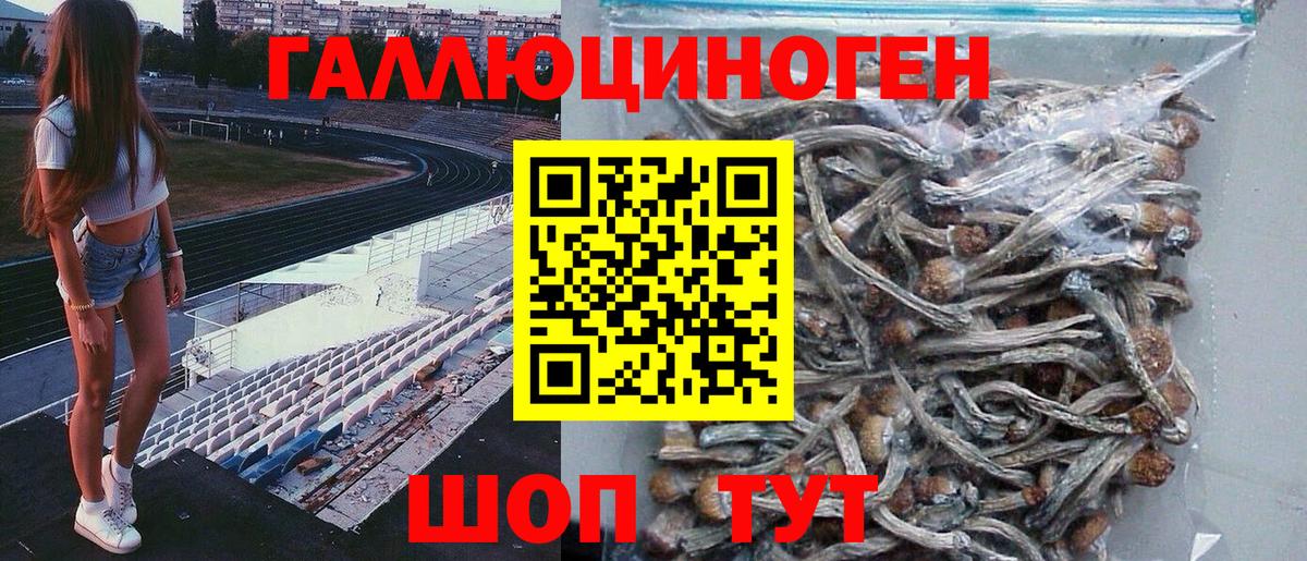 Тара  Псилоцибиновые грибы Psilocybine cubensis  Галлюциногенные грибы Magic Shrooms  Вход с VPN 