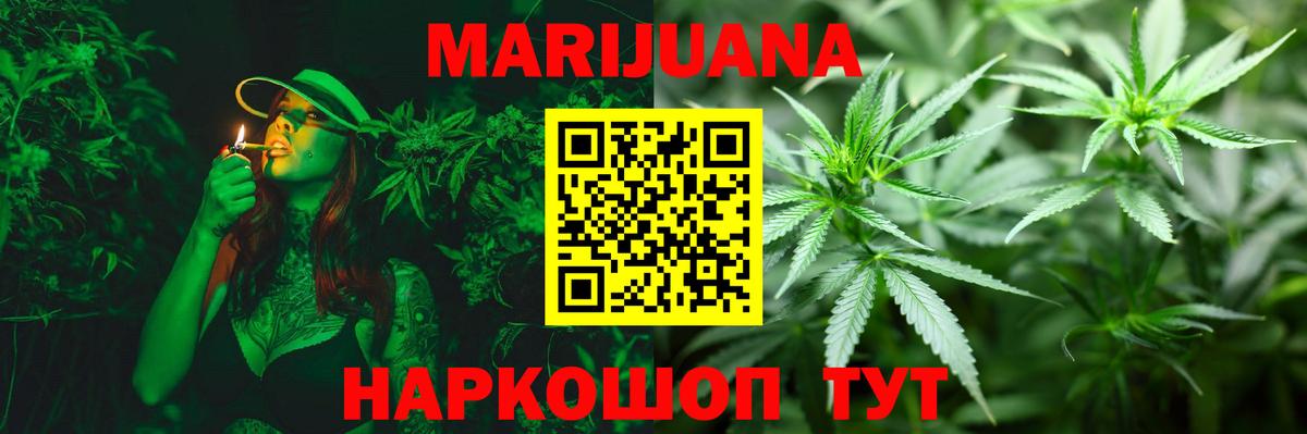 Марихуана сатива Тара